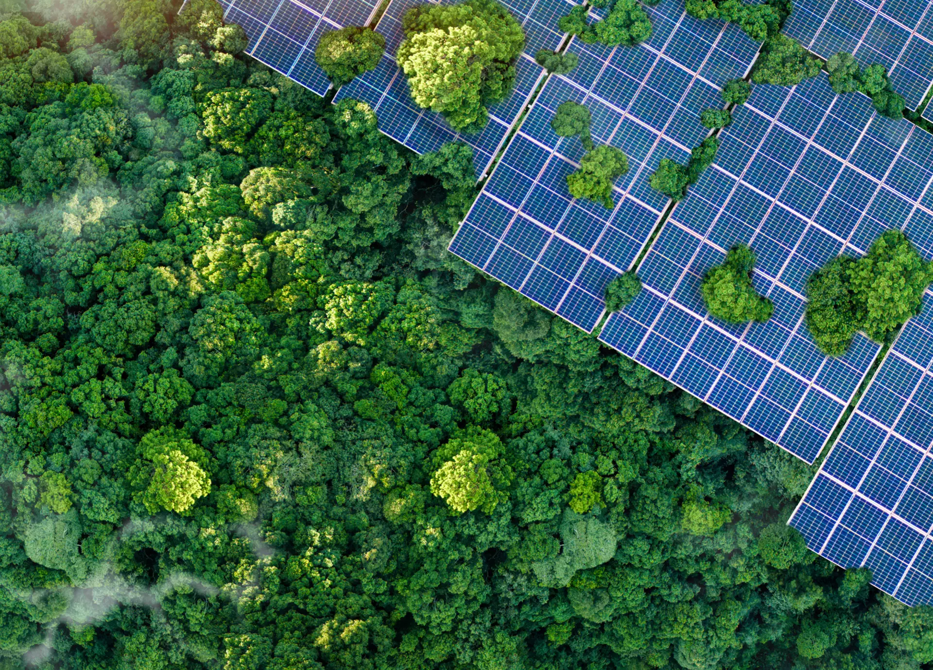 German solar record 2026